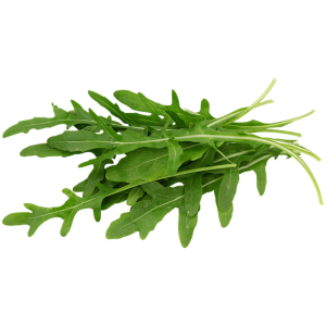 Roquette