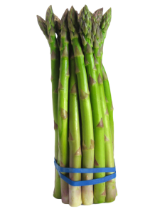 Asperge