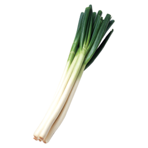 Poireau