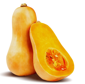 Butternut