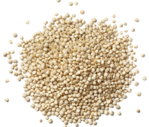 Quinoa