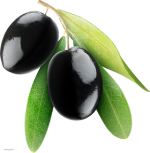 Olive noire