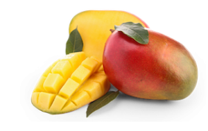 Mangue