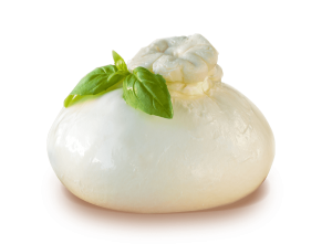 burrata