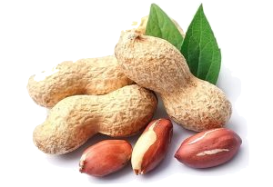 Cacahuète
