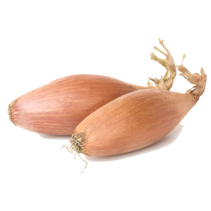 Échalote