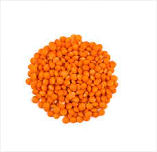 lentille corail
