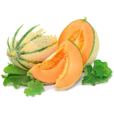 melon