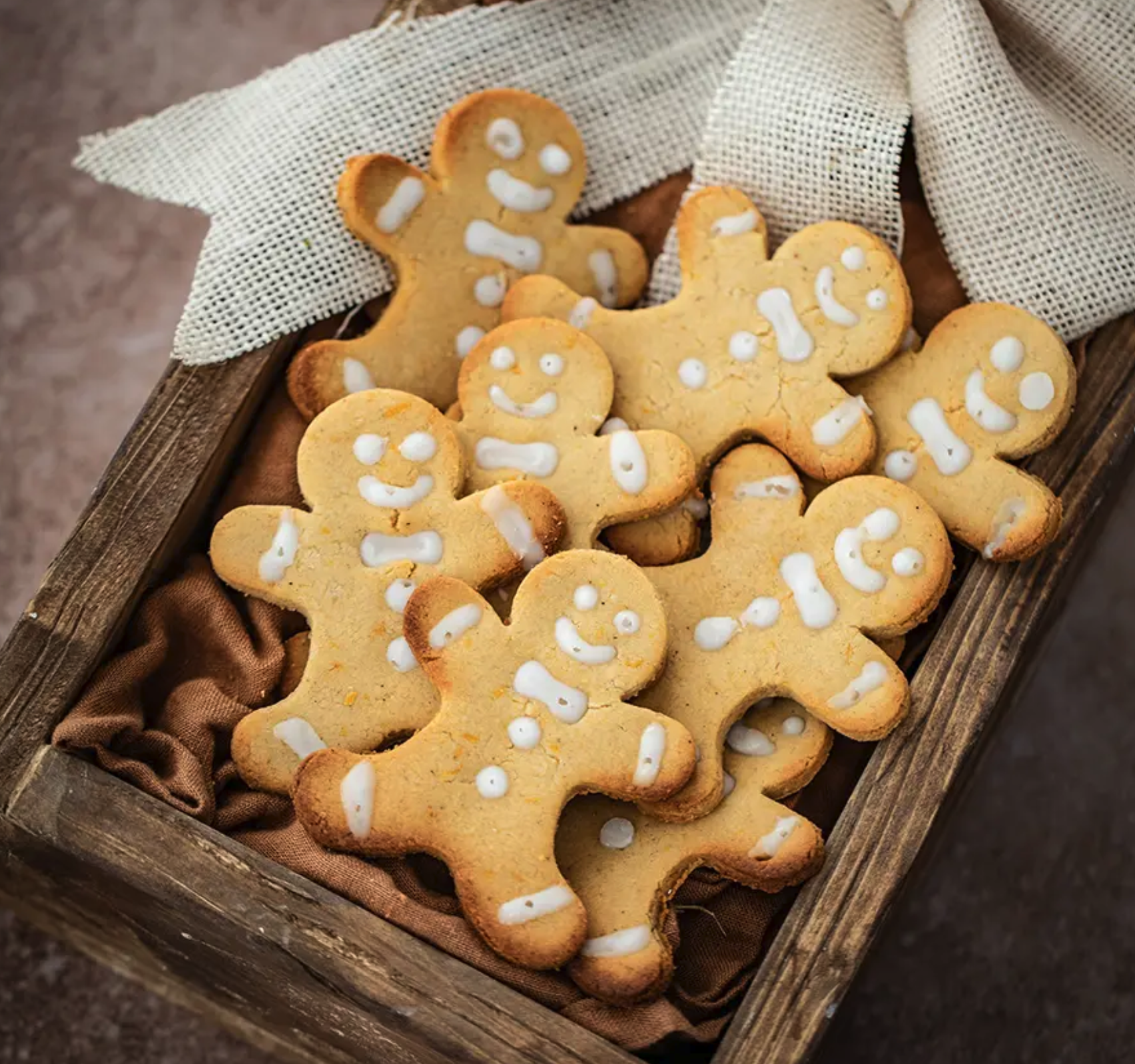 Biscuits pains d’épices de Noël