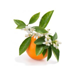 arôme de fleur d'oranger