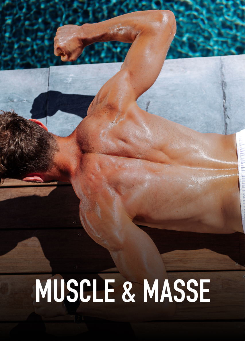 MUSCULATION