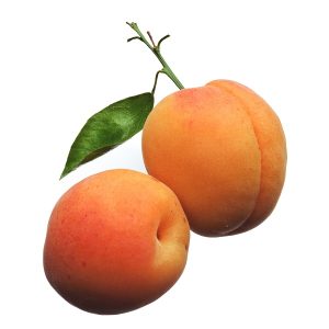 abricot