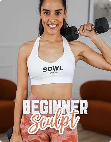 Beginner Sculpt